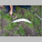 Majdalena 25.6.2008 -32.JPG